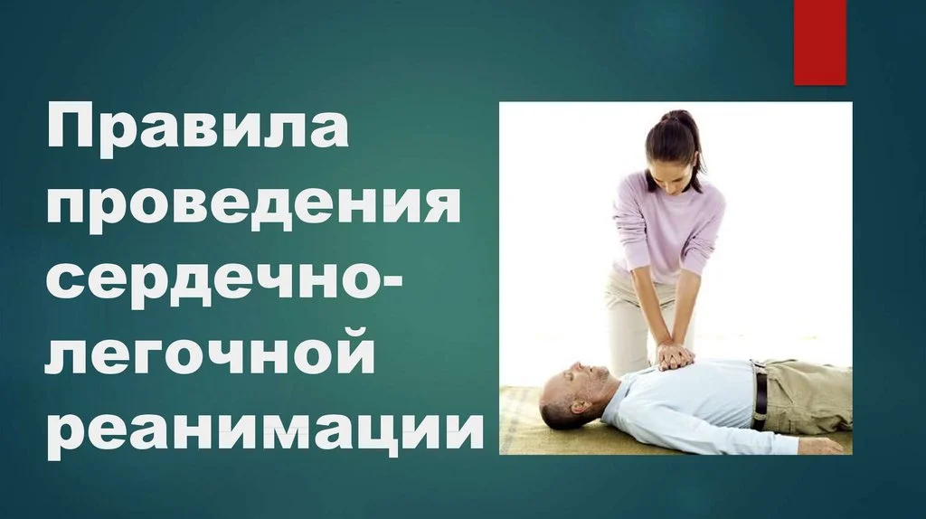 Прошло занятие по сердечно - легочной реанимации
