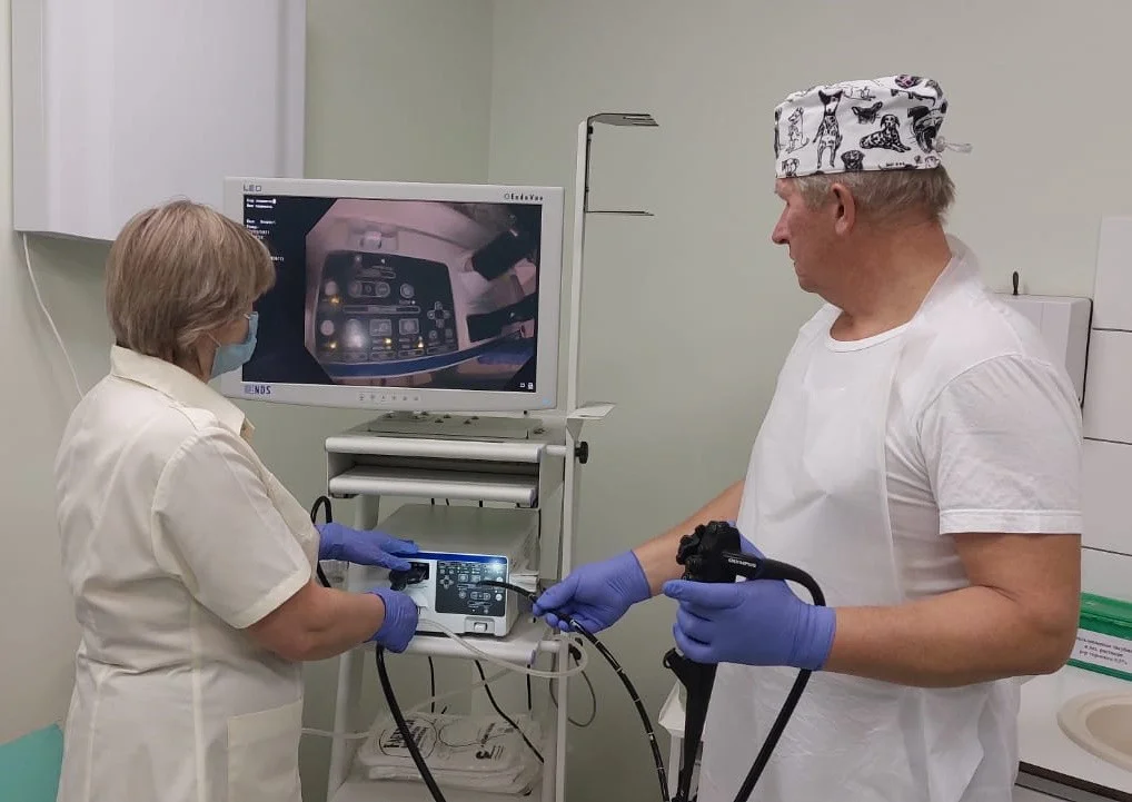 За четыре месяца на новом эндоскопе в поликлинике Пионерского проведено около четырехсот исследований